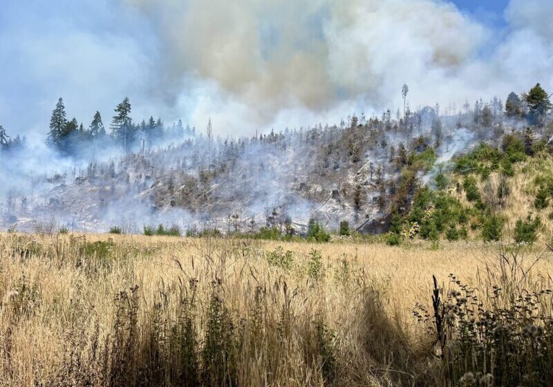 smoke on a hillside