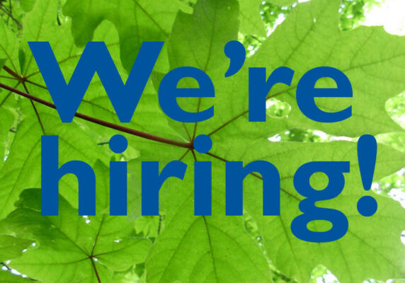 We're hiring_text over tree leaves_1200