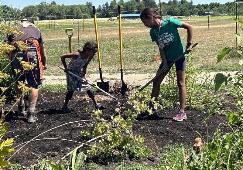 Two young girls using garden tools on a garden spot in the summer at Sauvie Island Center