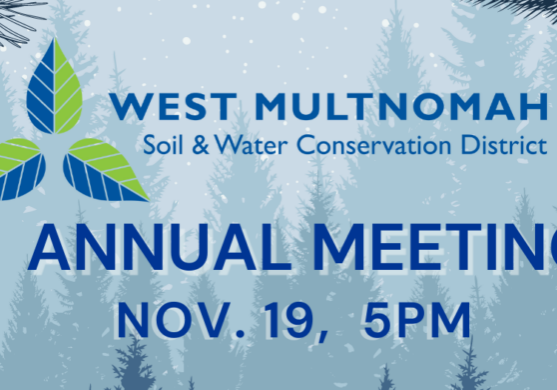 Snowy blue background with our logo and "Annual Meeting" and the date 11/19 at 5pm