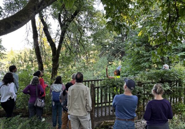 person in yellow vest pointing up at tree leaves while about 10 people look on