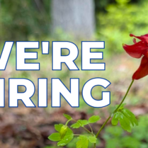 text says we're hiring over a picture of a red and yellow columbine flower