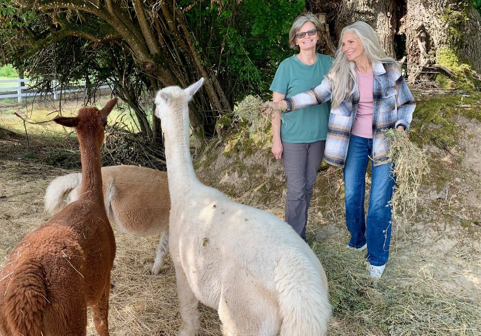 Two older white women with gray hair pose with their pet alpacas which are brown and white