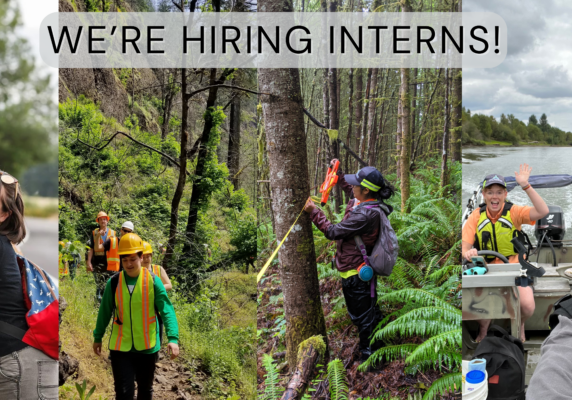 A collage of 4 intern photos, with each looking at the camera or working in the forest.