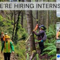 we're hiring interns-resized A collage of 4 intern photos, with each looking at the camera or working in the forest.