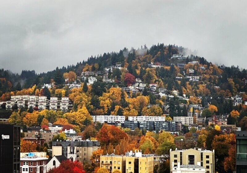 Downtown Portland in west hills with buildings and fall leaves